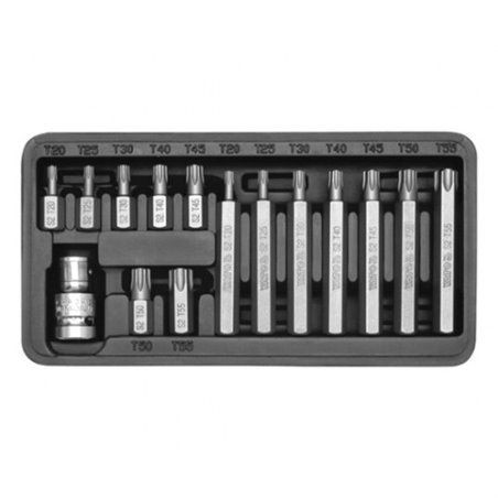 SET DE SURUBELNITE TORX 15 BUCATI