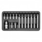 YT-0411 Set Biti Torx 15 Piese